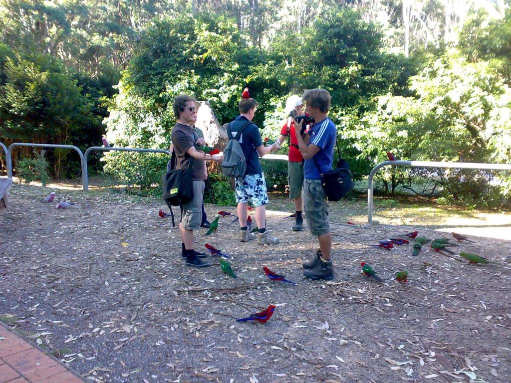 Batemans Bay Holiday Park & Hostel Exteriör bild